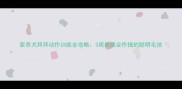 家养犬拜拜动作训练全攻略3周养成会作揖的聪明毛孩