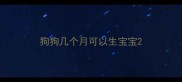 狗狗几个月可以生宝宝