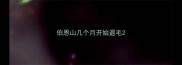 伯恩山几个月开始退毛