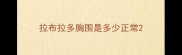 拉布拉多胸围是多少正常