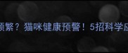 吐毛球频繁猫咪健康预警5招科学应对指南