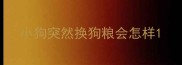 小狗突然换狗粮会怎样