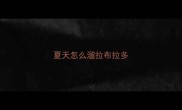 夏天怎么溜拉布拉多