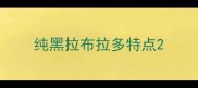 纯黑拉布拉多特点