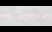 泰迪两个月能吃蛋黄吗幼犬辅食添加全攻略附食谱