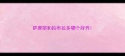 萨摩耶和拉布拉多哪个好养