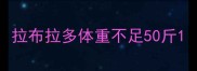 拉布拉多体重不足50斤