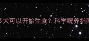 边境牧羊犬多大可以开始生食科学喂养指南与注意事项