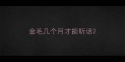 金毛几个月才能听话