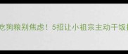 泰迪不吃狗粮别焦虑5招让小祖宗主动干饭指南