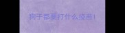狗子都要打什么疫苗