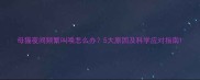 母猫夜间频繁叫唤怎么办5大原因及科学应对指南
