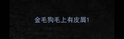 金毛狗毛上有皮屑