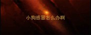 小狗感冒怎么办啊
