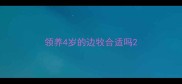 领养4岁的边牧合适吗
