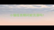 小猫疫苗期间能洗澡吗