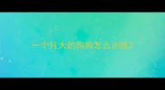 一个月大的狗狗怎么训练