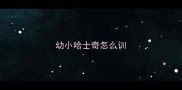 幼小哈士奇怎么训