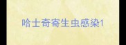 哈士奇寄生虫感染