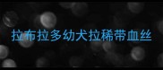 拉布拉多幼犬拉稀带血丝