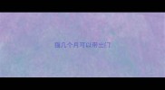 猫几个月可以带出门
