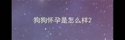狗狗怀孕是怎么样