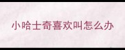 小哈士奇喜欢叫怎么办