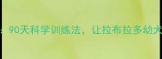 5大黄金法则90天科学训练法让拉布拉多幼犬变聪明好养