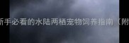 雨林蝎子养殖全攻略新手必看的水陆两栖宠物饲养指南附环境搭建与喂食技巧