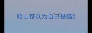 哈士奇以为自己是猫