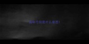 猫咪弓背是什么意思