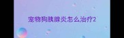 宠物狗胰腺炎怎么治疗