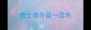 哈士奇外面一层毛