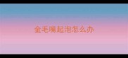 金毛嘴起泡怎么办