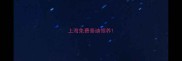上海免费泰迪领养