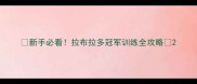 新手必看拉布拉多冠军训练全攻略