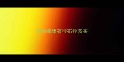 株洲哪里有拉布拉多买