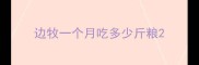 边牧一个月吃多少斤粮