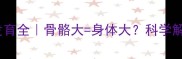 边牧体型与骨骼发育全骨骼大身体大科学解答边牧成长关键