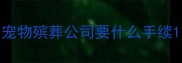 宠物殡葬公司要什么手续