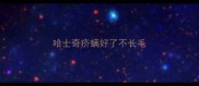 哈士奇疥螨好了不长毛