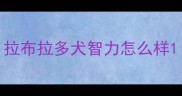 拉布拉多犬智力怎么样