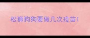 松狮狗狗要做几次疫苗