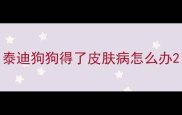 泰迪狗狗得了皮肤病怎么办
