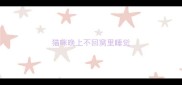 猫咪晚上不回窝里睡觉
