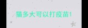 猫多大可以打疫苗