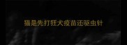 猫是先打狂犬疫苗还驱虫针