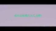 成年边牧喂几次几点喂