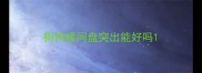 狗狗腰间盘突出能好吗