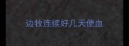 边牧连续好几天便血